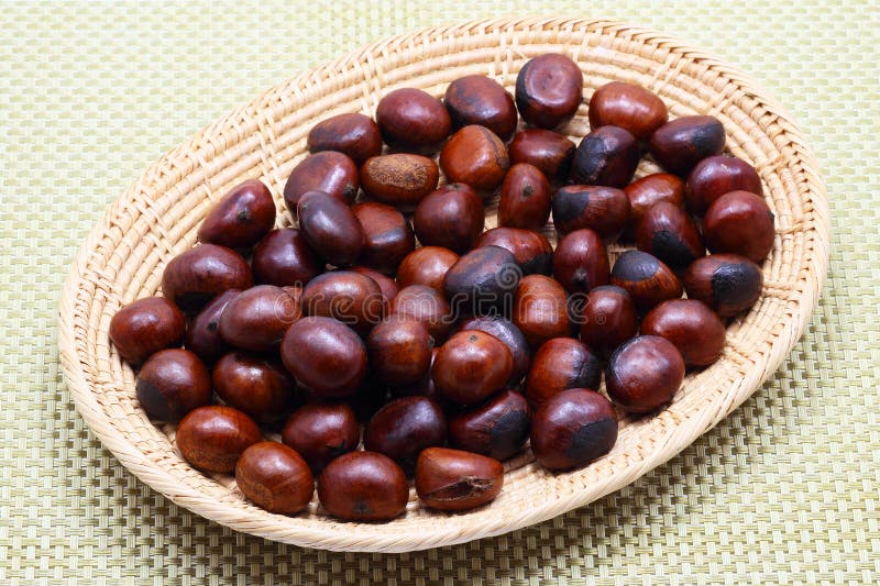 Chestnut