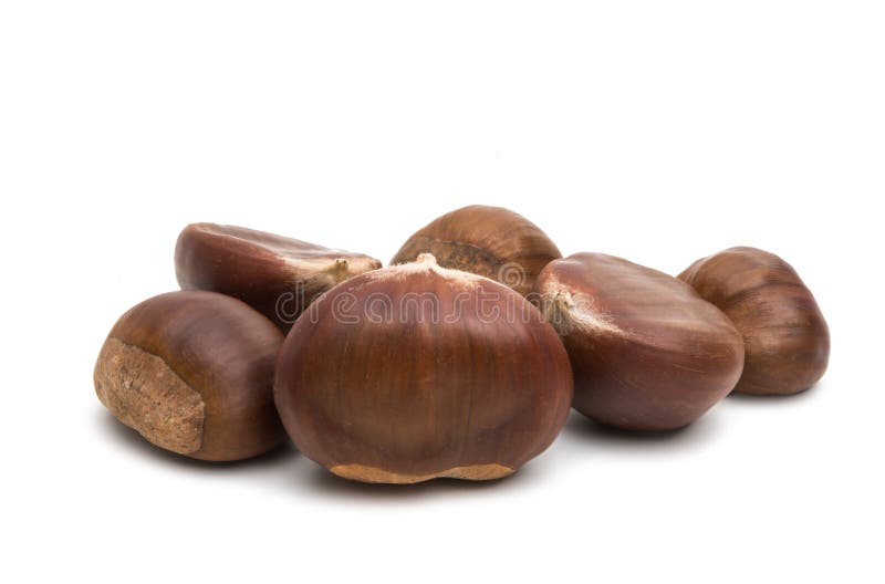 https://thumbs.dreamstime.com/b/chestnut-edible-chestnut-edible-white-background-111936672.jpg