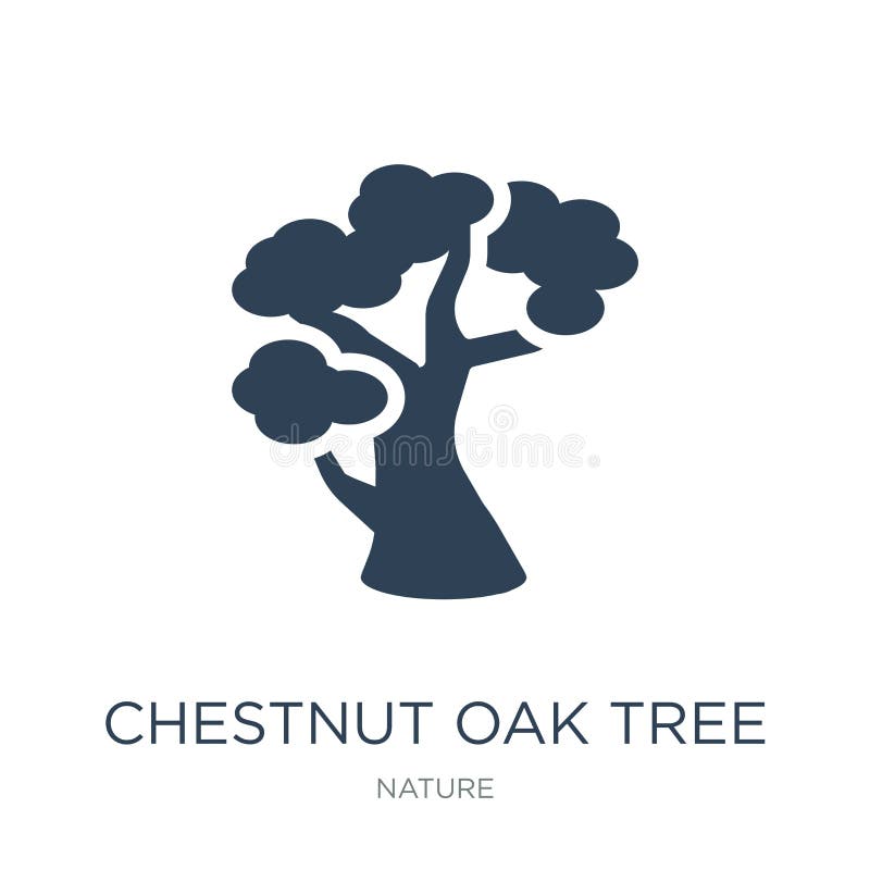 chestnut oak tree icon in trendy design style. chestnut oak tree icon isolated on white background. chestnut oak tree vector icon royalty free illustration chestnut oak tree icon in trendy design style. chestnut oak tree icon isolated on white background. chestnut oak tree vector icon royalty free illustration