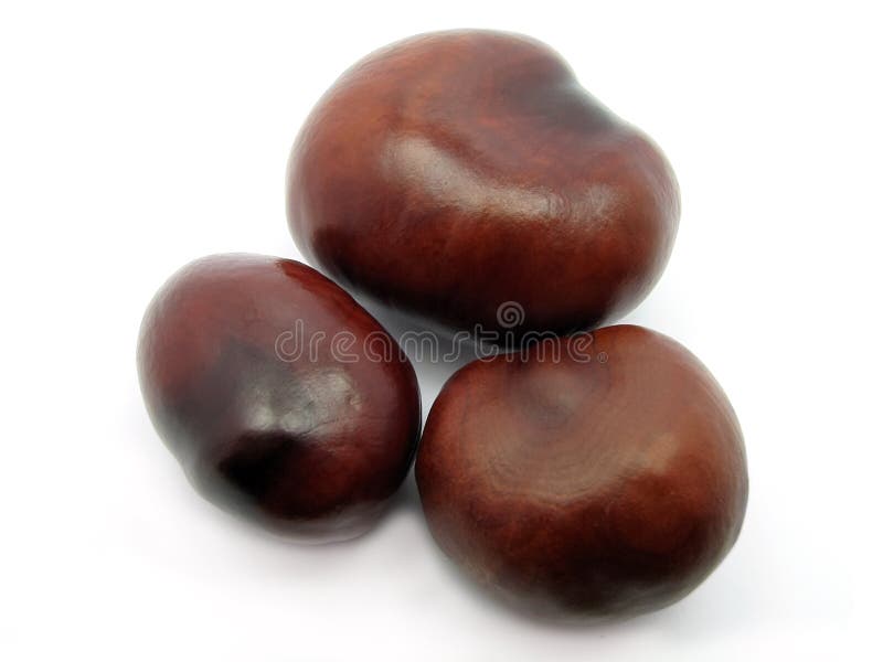 Chestnuts