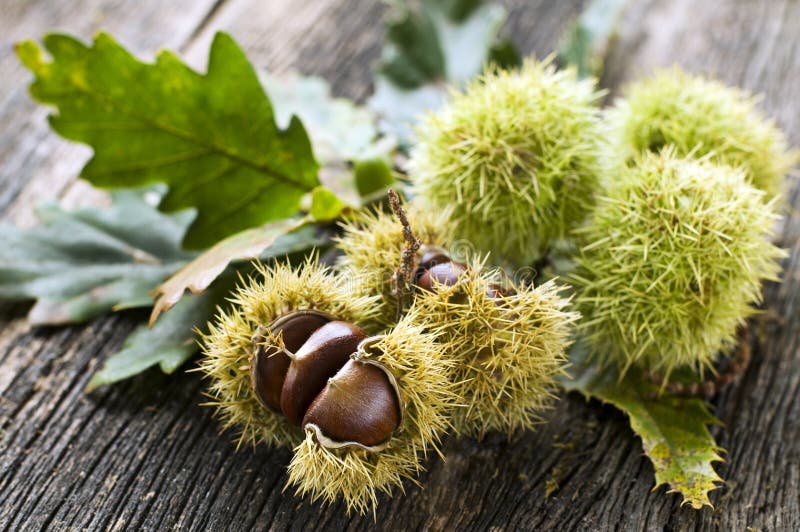 Chestnuts