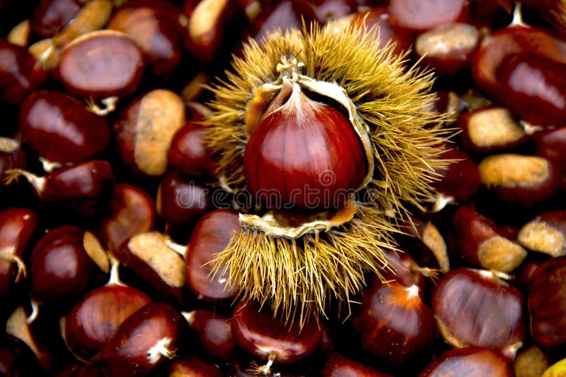 Chestnuts