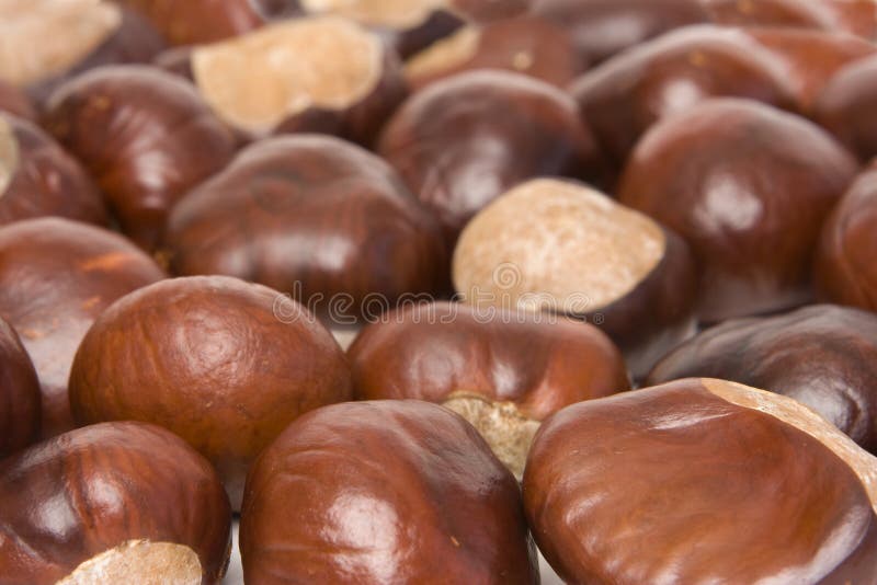 Chestnuts