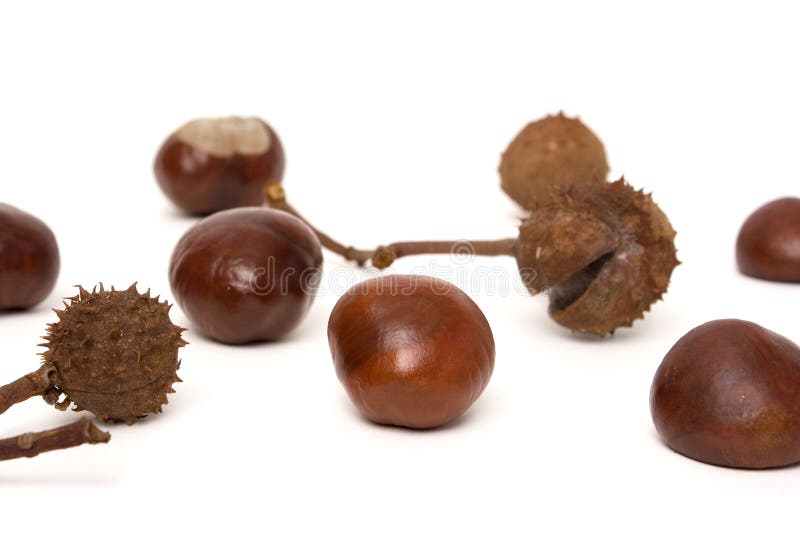 Chestnuts