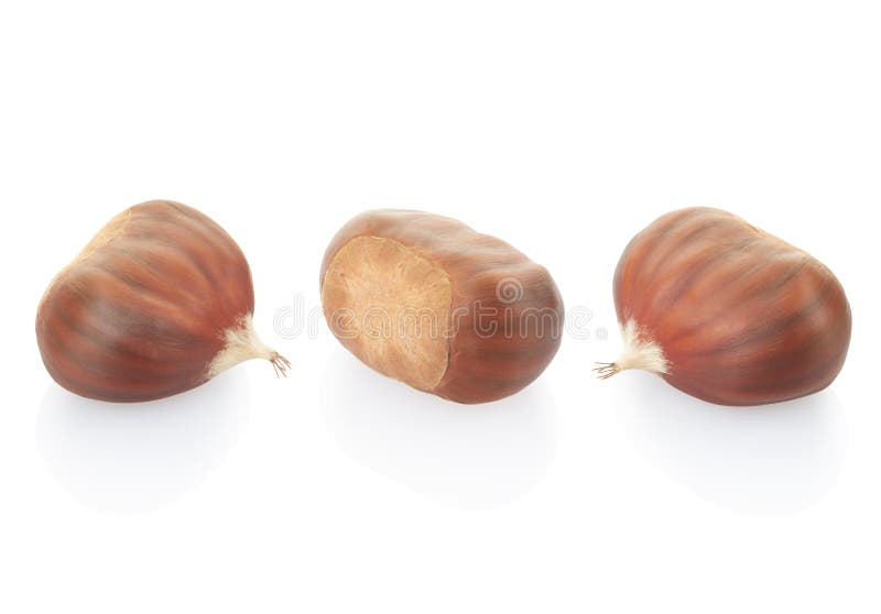 Collection of chestnuts stock image. Image of leaf, autumn 33784809