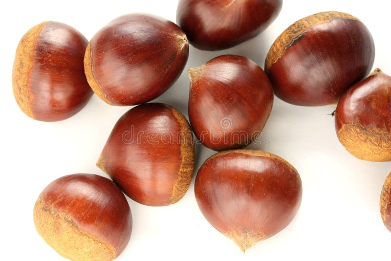 Chestnuts group