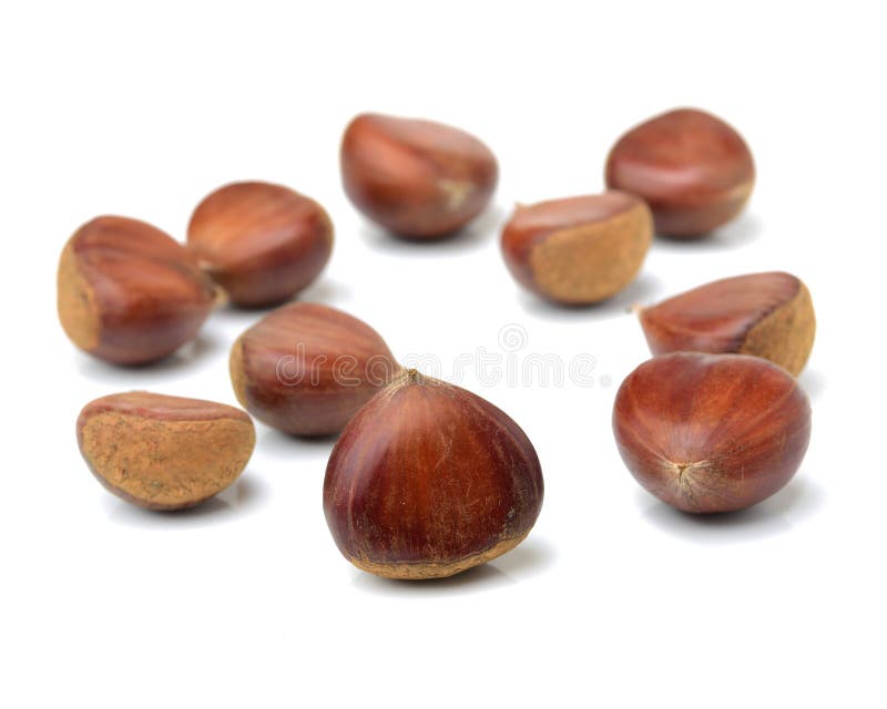 Chestnuts group