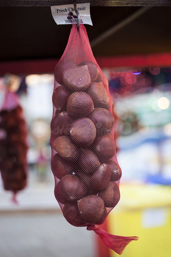 Nuts Hanging On A Walnut Tree Stock Photo - Image of foods, nuts: 16201744