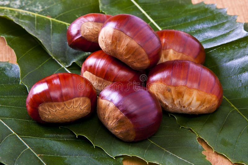 Chestnuts