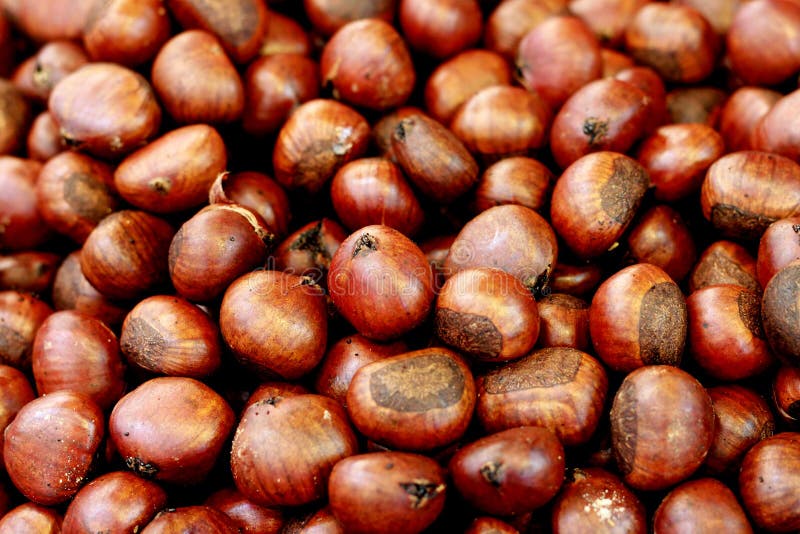 Chestnuts roasting stock image