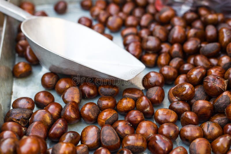 Chestnuts roasting royalty free stock photo