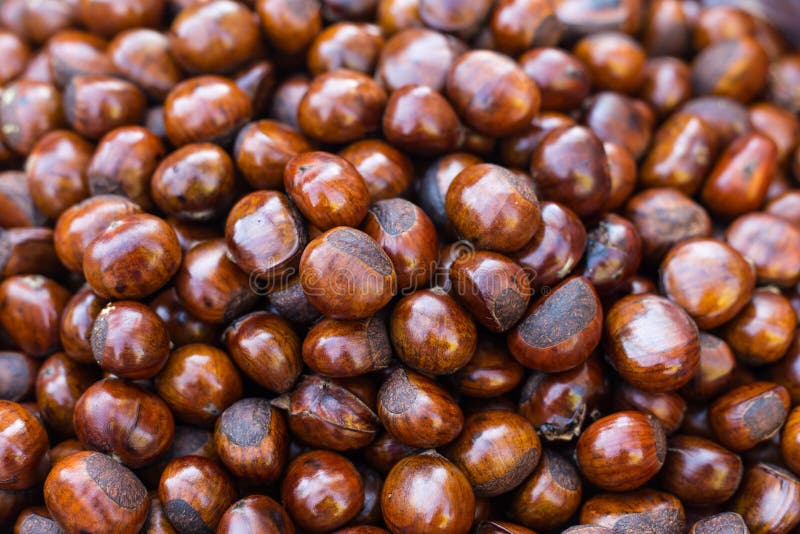Chestnuts roasting in a pan on the stove stock image
