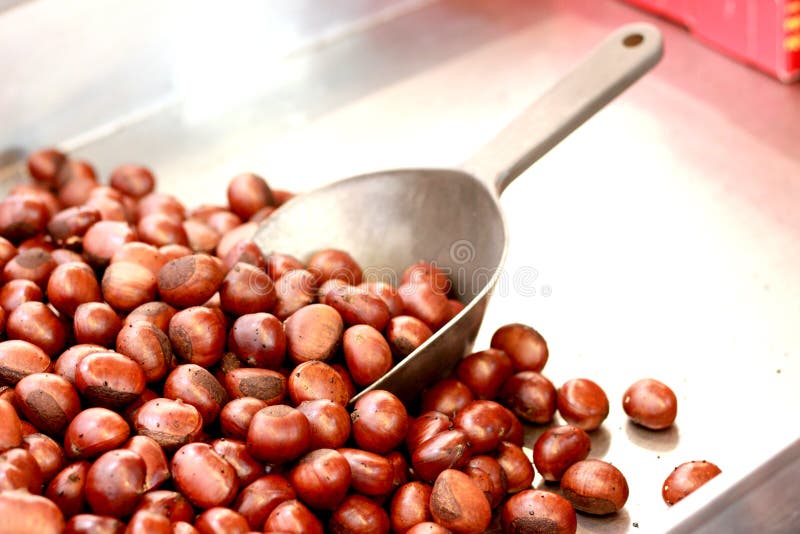 Chestnuts roasting. royalty free stock images