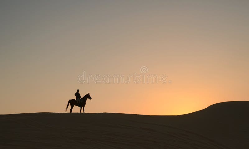 Cheval Arabe Dans Le Désert Au Coucher Du Soleil Dubaï