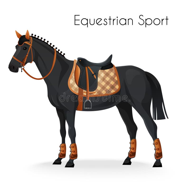 Ensemble d'équipements équestres pour chevaux. Selle, : image vectorielle  de stock (libre de droits) 219328060