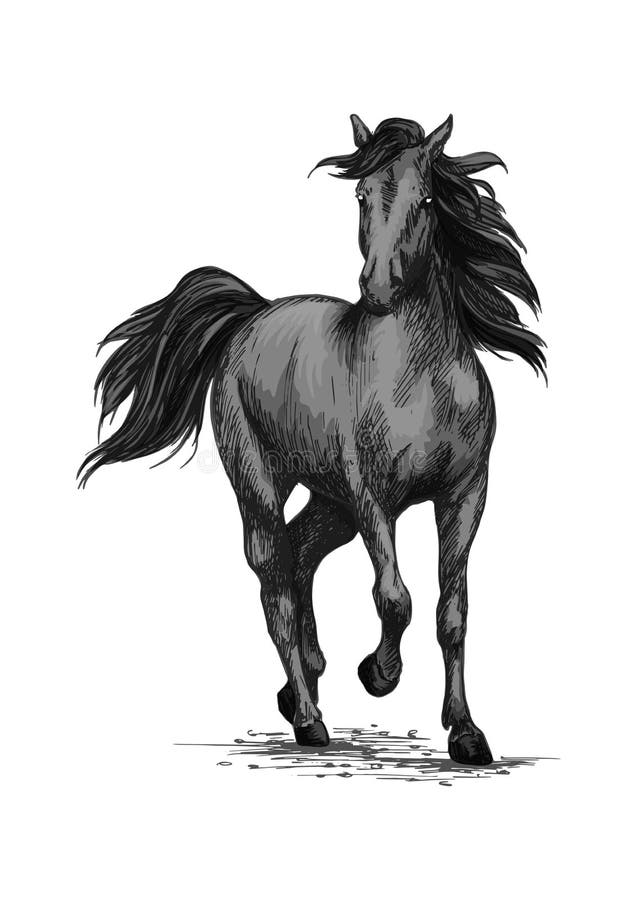 Cheval d'emballage fonctionnant sur le croquis de vecteur de courses illustration stock Cheval d'emballage fonctionnant sur le croquis de vecteur de courses illustration stock