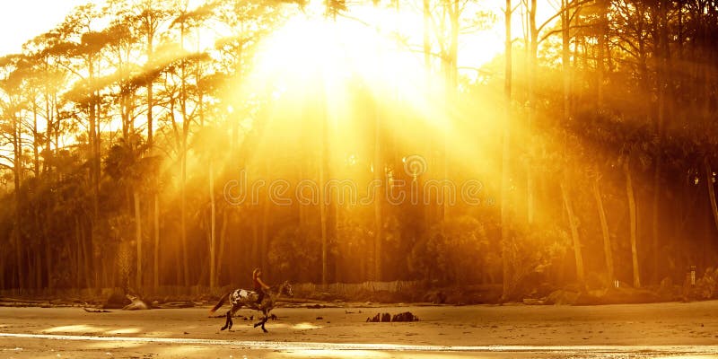 Cheval d'?quitation de femme sur la plage photographie stock libre de droits Cheval d'?quitation de femme sur la plage photographie stock libre de droits