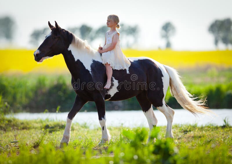 Cheval d'équitation d'enfant dans le pré image stock Cheval d'équitation d'enfant dans le pré image stock