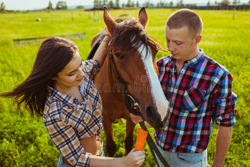 Cheval de alimentation de jeunes couples images libres de droits Cheval de alimentation de jeunes couples images libres de droits