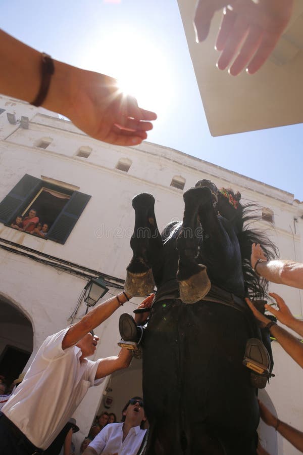 Cheval de festivité de cheval de St John reaaring sur ses jambes photo libre de droits Cheval de festivité de cheval de St John reaaring sur ses jambes photo libre de droits