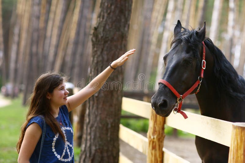 Cheval de noir de course de fille d'adolescent avec la fin de licou vers le haut de la photo d'été photo stock Cheval de noir de course de fille d'adolescent avec la fin de licou vers le haut de la photo d'été photo stock