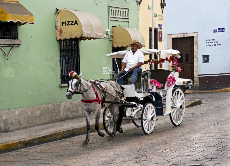 Cheval et chariot sur une rue de ville à Mérida, Mexique photographie stock Cheval et chariot sur une rue de ville à Mérida, Mexique photographie stock