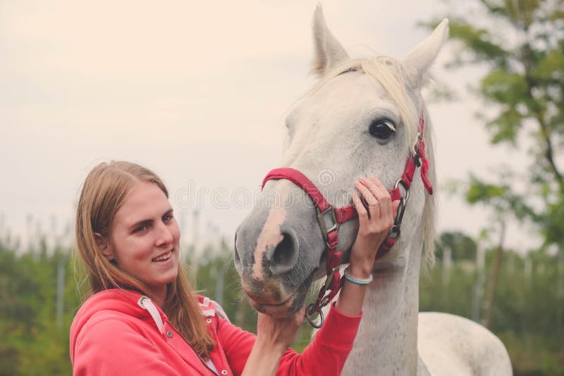 Cheval femelle et beau Concepts d'amitié et d'amour photographie stock Cheval femelle et beau Concepts d'amitié et d'amour photographie stock