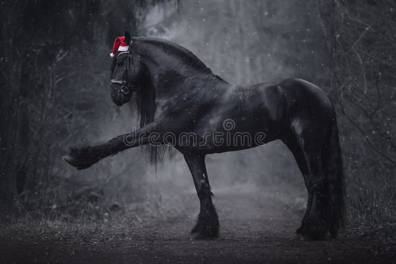 Cheval Friésien De Noël à Longue Crinière Rouge En Forêt Pendant La Neige Photo stock - Image du 