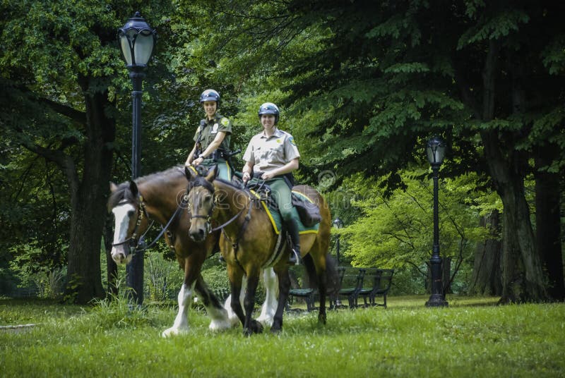 Chevaux d'équitation de gardes de sécurité dans le Central Park, New York photographie stock libre de droits Chevaux d'équitation de gardes de sécurité dans le Central Park, New York photographie stock libre de droits