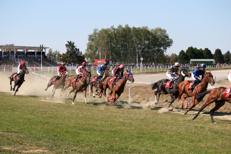 Chevaux de course avec galoper de jockeys photos stock Chevaux de course avec galoper de jockeys photos stock