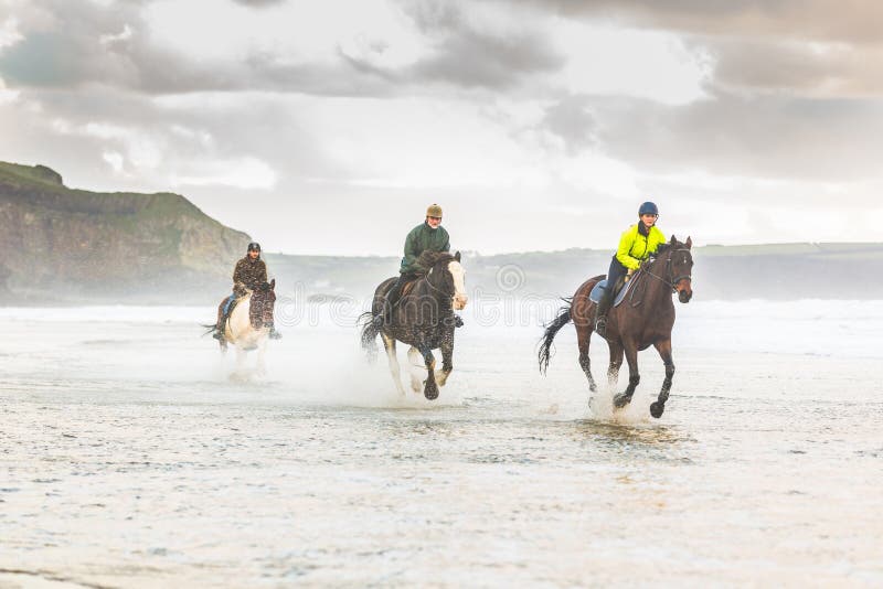 Chevaux galopant sur la plage photo libre de droits Chevaux galopant sur la plage photo libre de droits