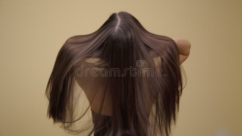 Cheveux longs et luxueux brunes au ralenti. vue arrière. banque de vidéos