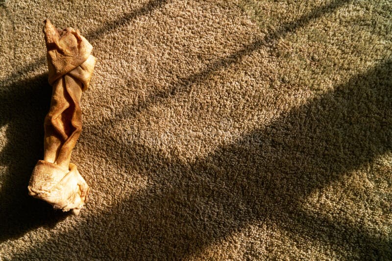 Chewed Up Raw Hide Dog Bone on a Tan Carpet Window Shadow Stock Photo