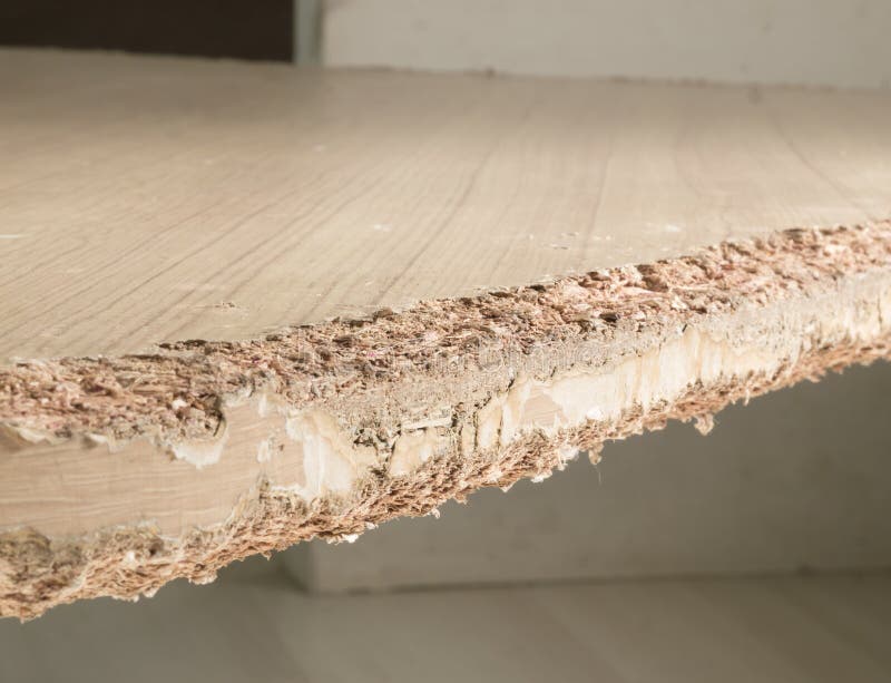 Dog Chewed Stock Photos Download 104 Royalty Free Photos