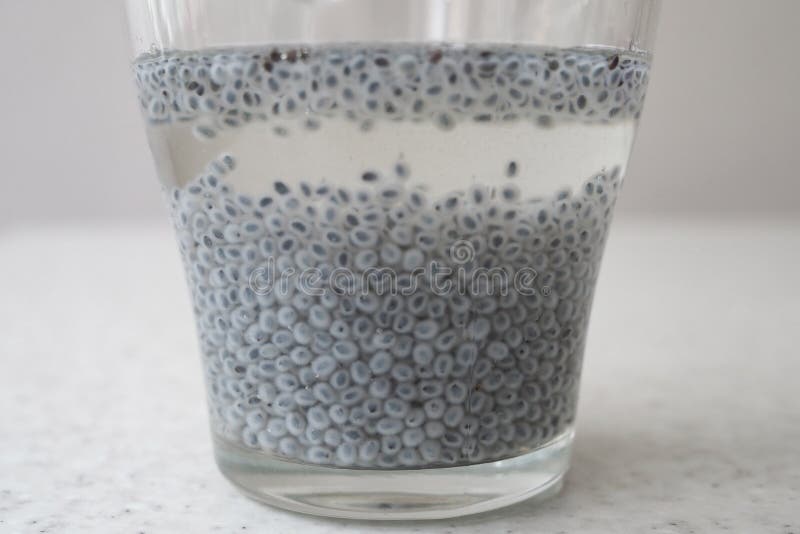 ChiaSamen Schwellen in Einem Glas Wasser Stockfoto Bild von