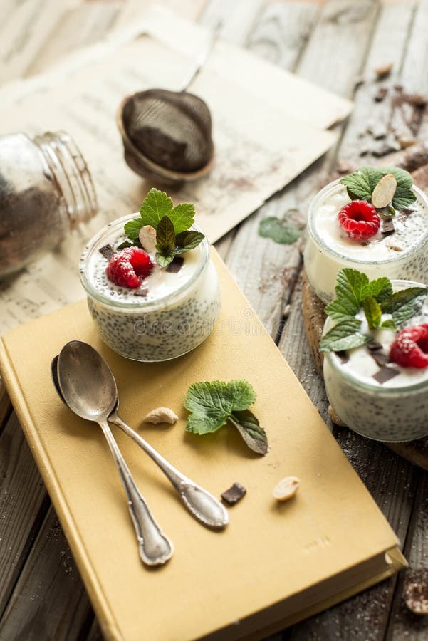 Chia-Samenpudding mit Himbeeren Schokolade und Minze in den Gläsern Abschluss oben lizenzfreies stockfoto Chia-Samenpudding mit Himbeeren Schokolade und Minze in den Gläsern Abschluss oben lizenzfreies stockfoto