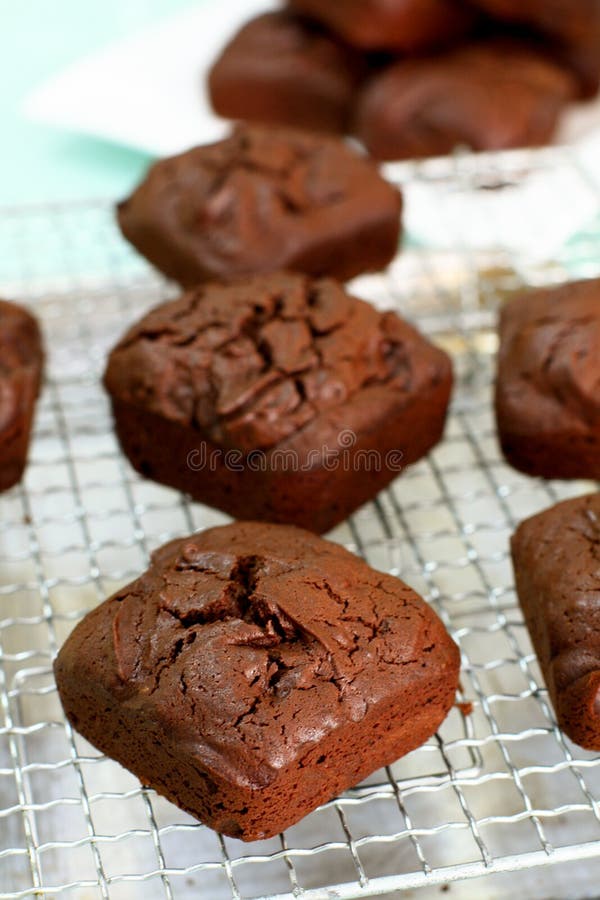 Chia Seed Brownies stock photo. Image of sweet, perfect 60232684