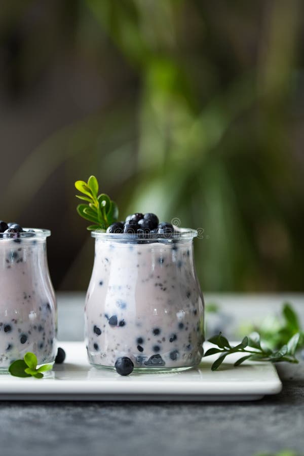 Chia Seed Pudding with Blueberries in Jar for Breakfast with Fresh