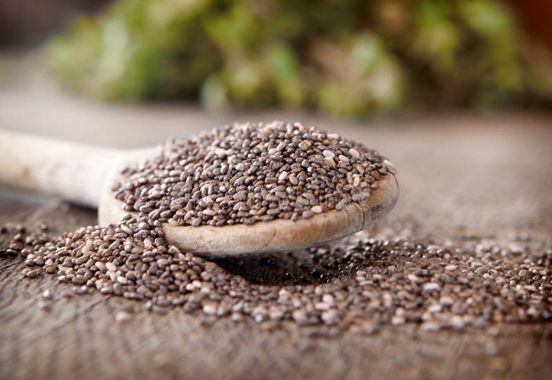 Chia seeds. Black chia seeds on a wooden spoon stock photo