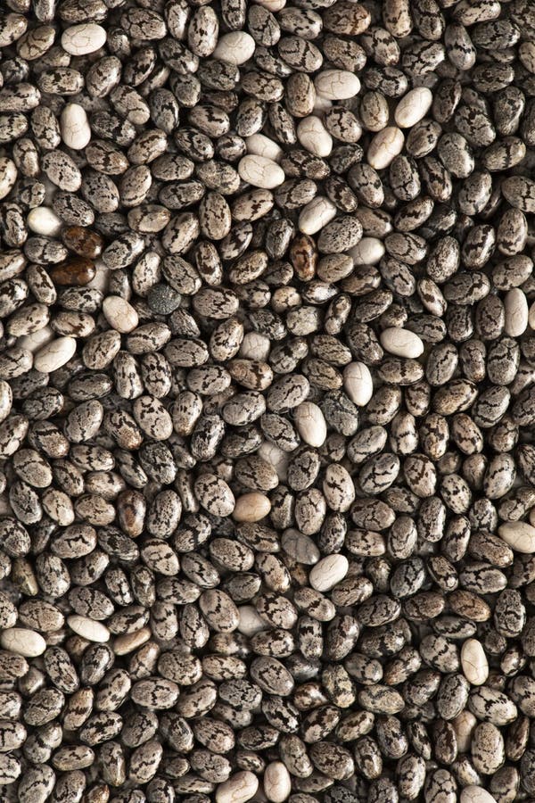 Chia Seeds, a Source of Omega 3 Acids. Texture Stock Image Image of