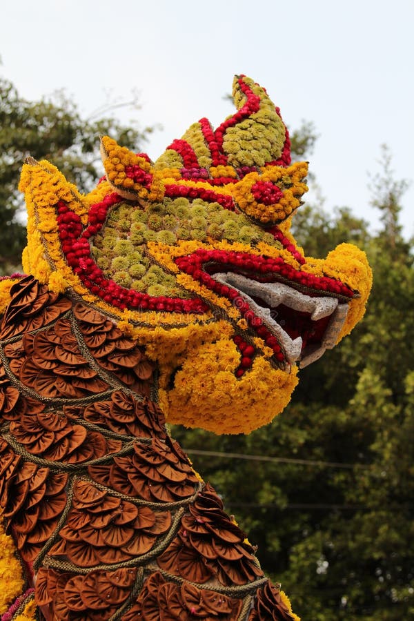 Lion made from flowers, The 39th Chiang Mai Flower Festival 2015.