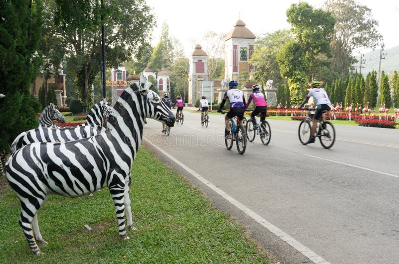 CHIANGMAI, THAILAND, 07 DECEMBER 2016, CHIANG MAI NIGHT SAFARI: zoo with many wildlife animals in natural habitat, One of the main attractions of northern Thailand popular among tourists