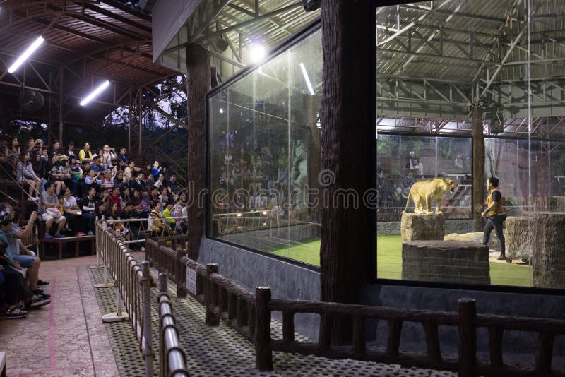 CHIANGMAI, THAILAND, 07 DECEMBER 2016, CHIANG MAI NIGHT SAFARI: zoo with many wildlife animals in natural habitat, One of the main attractions of northern Thailand popular among tourists