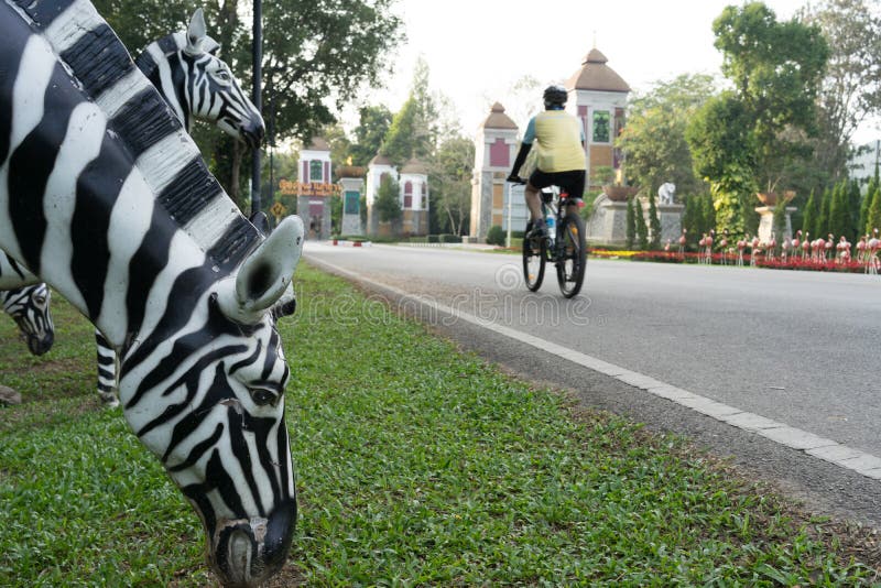 CHIANGMAI, THAILAND, 07 DECEMBER 2016, CHIANG MAI NIGHT SAFARI: zoo with many wildlife animals in natural habitat, One of the main attractions of northern Thailand popular among tourists