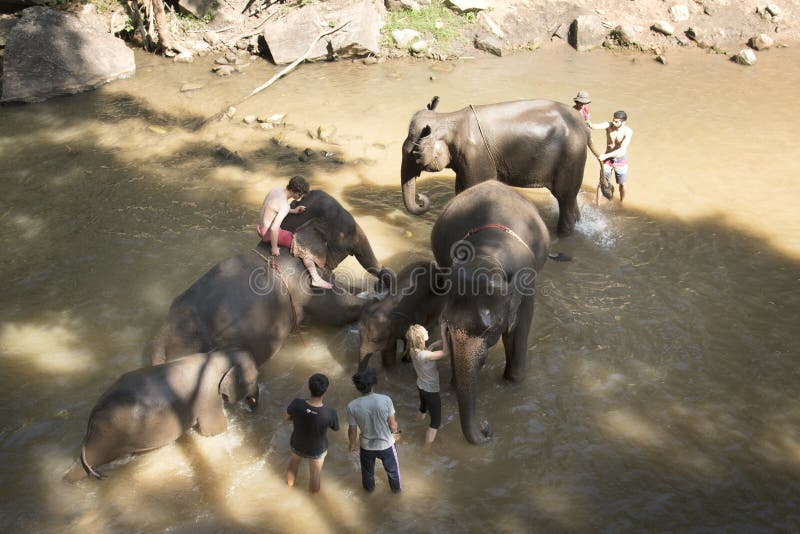 CHIANG MAI, THAILAND - 22 JANUARI: De zitting van de de heuvelstam van Karen op haar hut in de heuveldorp van Karen op 22 Januari stock foto's CHIANG MAI, THAILAND - 22 JANUARI: De zitting van de de heuvelstam van Karen op haar hut in de heuveldorp van Karen op 22 Januari stock foto's