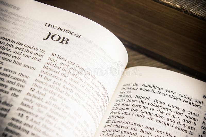Book of job bible king james version