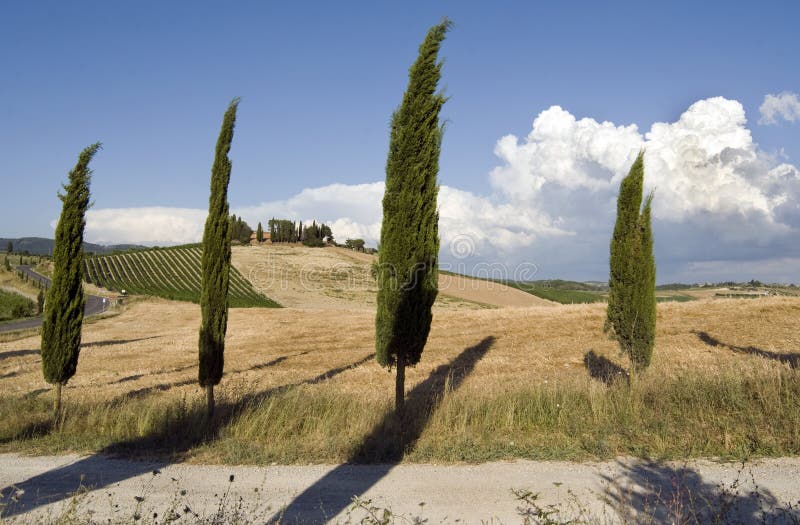 Chianti landscape