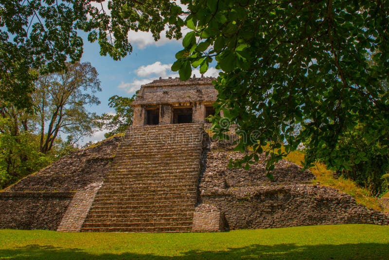 Chiapas, Mexico. Palenque. the Pyramid on the Background of Green Tree ...