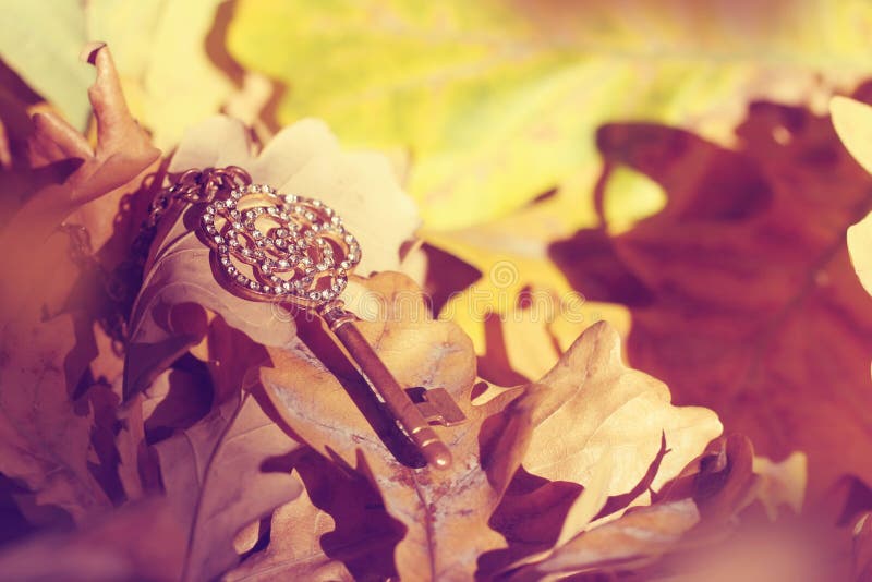 Chiave del vecchio oro persa nella foresta di autunno immagine stock Chiave del vecchio oro persa nella foresta di autunno immagine stock