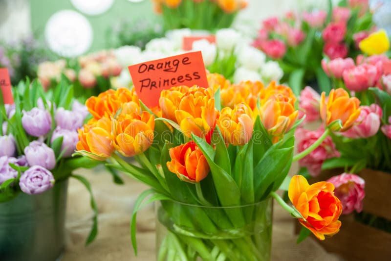 Chic bukett av dagen för prinsessa för orange tulpanvariation den orange, Hello vår- och kvinna royaltyfria foton Chic bukett av dagen för prinsessa för orange tulpanvariation den orange, Hello vår- och kvinna royaltyfria foton